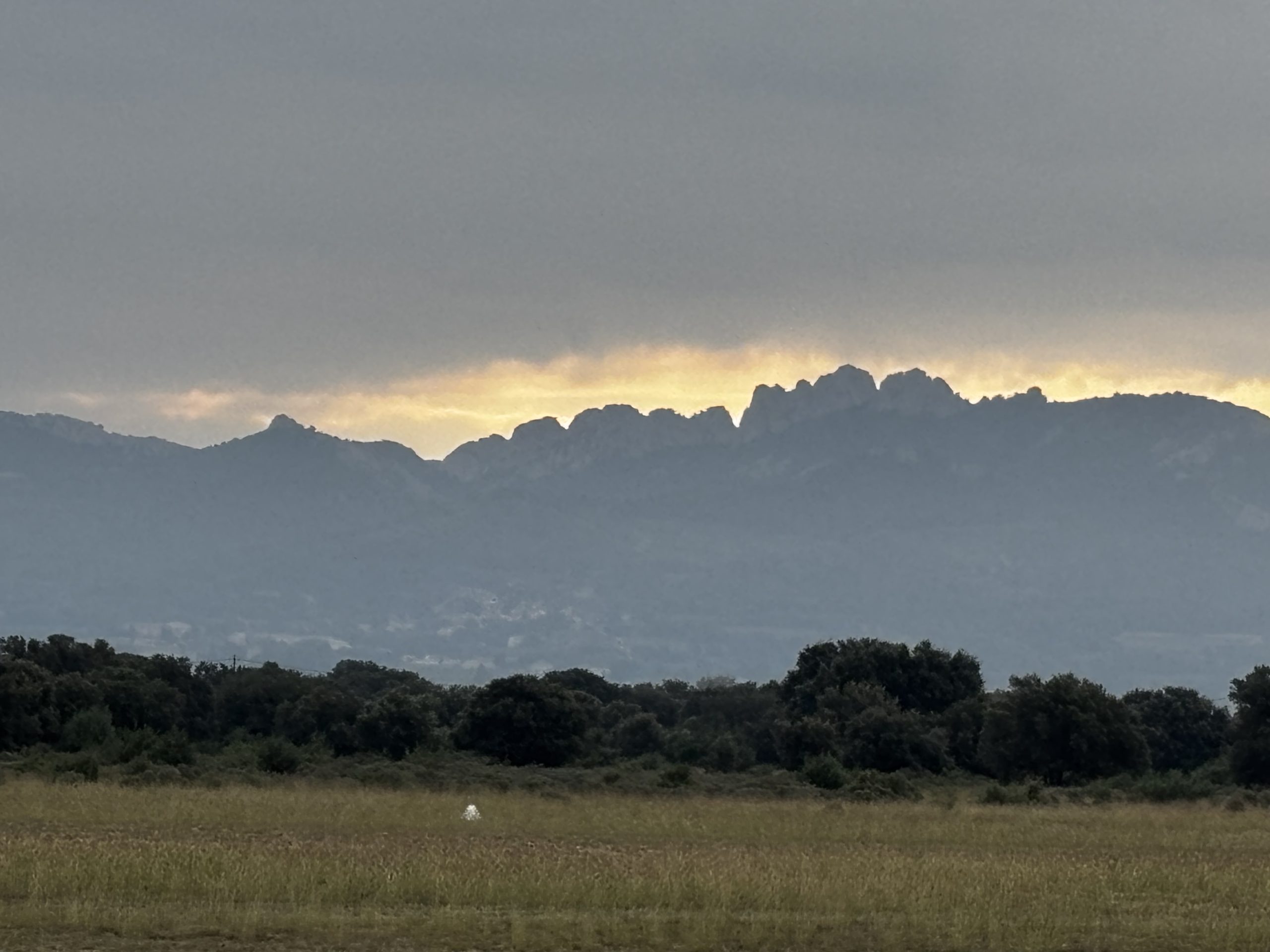 Nos jolies dentelles de Montmirail 